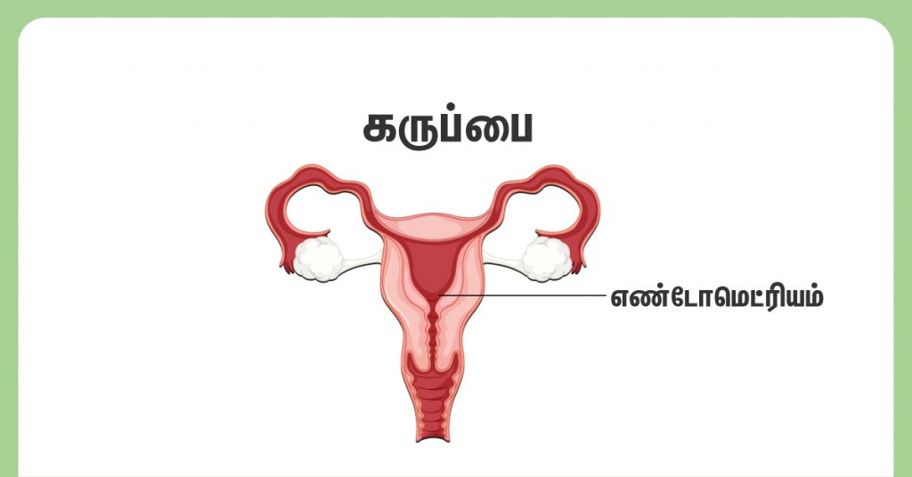 ET In A Follicular Study