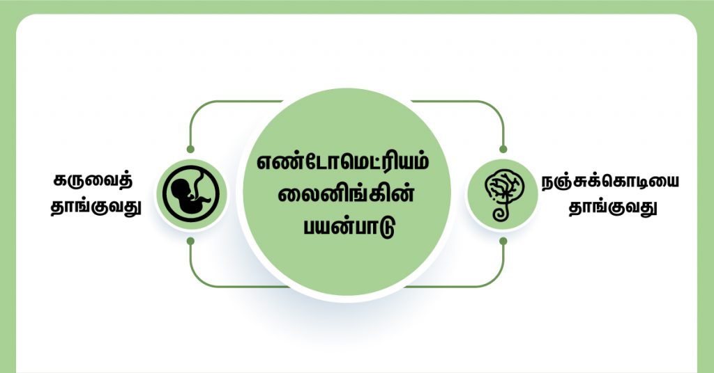 Use Of Endometrial Lining