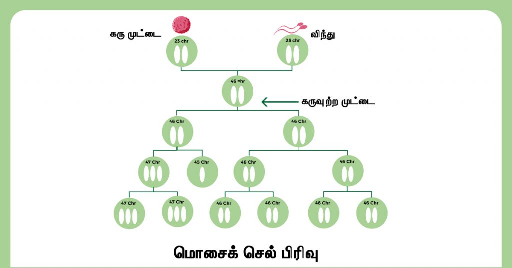 Mosaic Down Syndrome