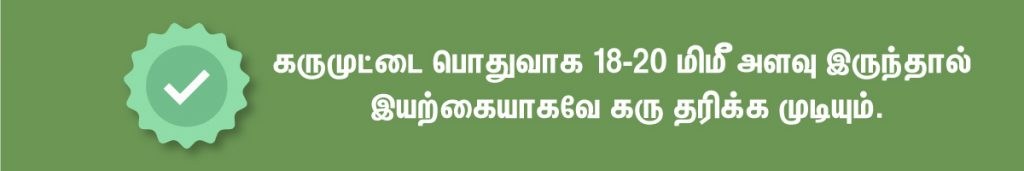 What Should Be The Size Of The Follicle To Get Pregnant