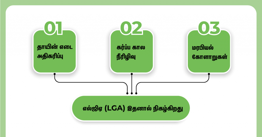 எல்ஜிஏ (LGA) ஏன் நடக்கிறது