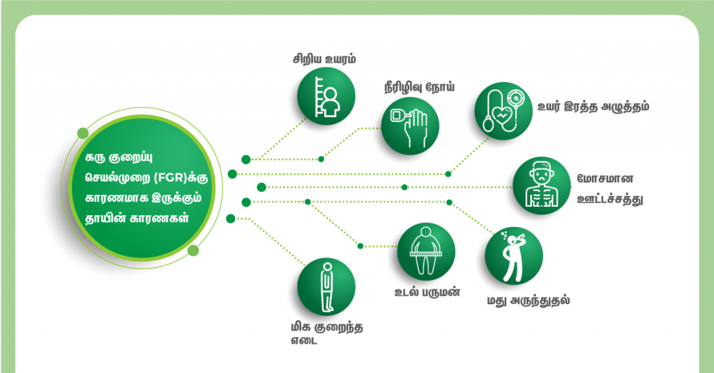 கருவின் வளர்ச்சியை எது பாதிக்கலாம்