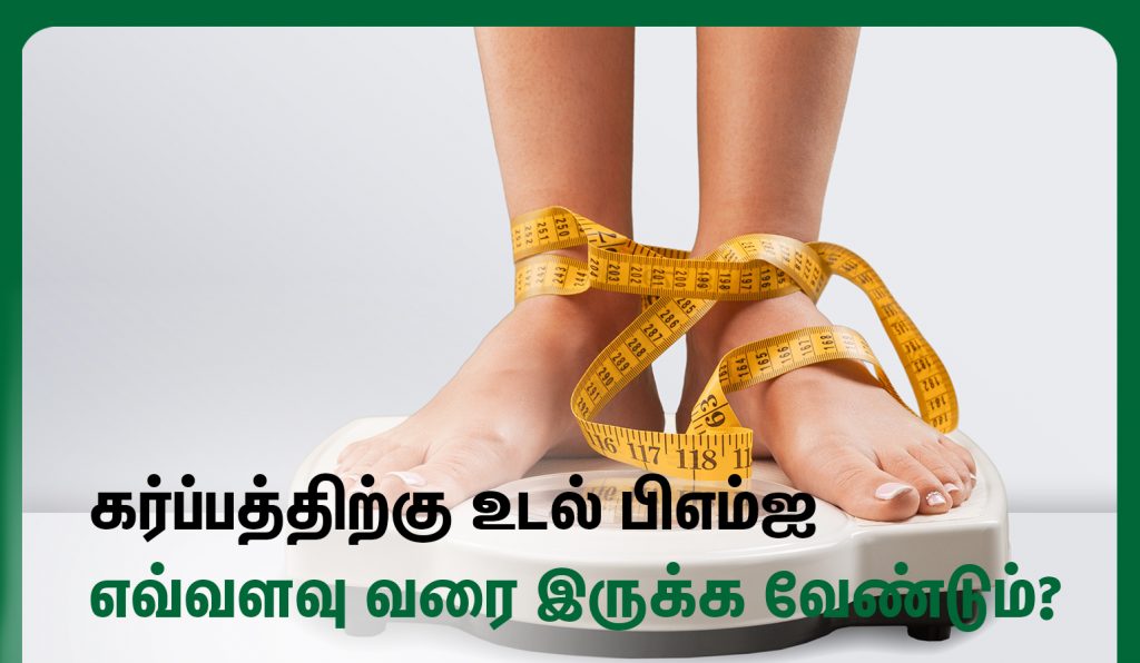 Normal Pregnancy BMI