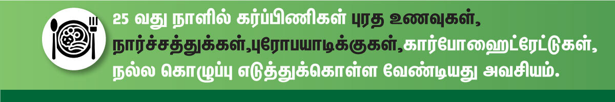 25 days pregnancy foods