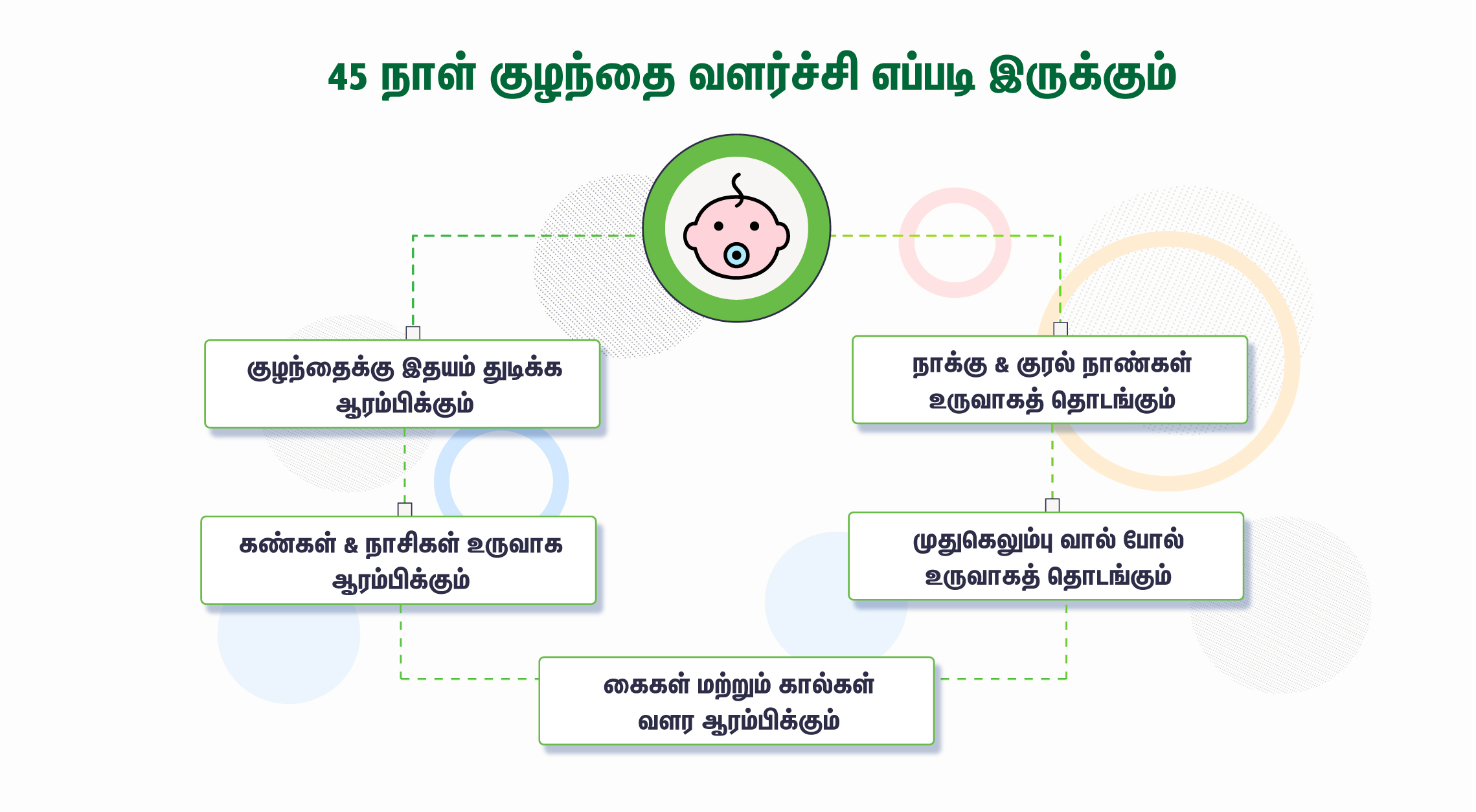 45 days fetal growth  - 45 நாட்கள் கர்ப்பம்