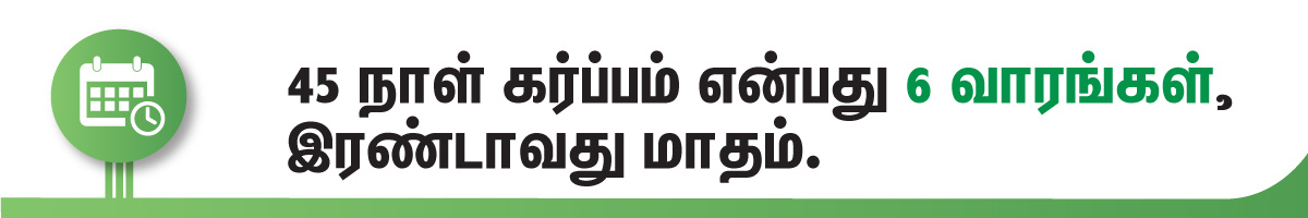 45 days pregnancy in weeks