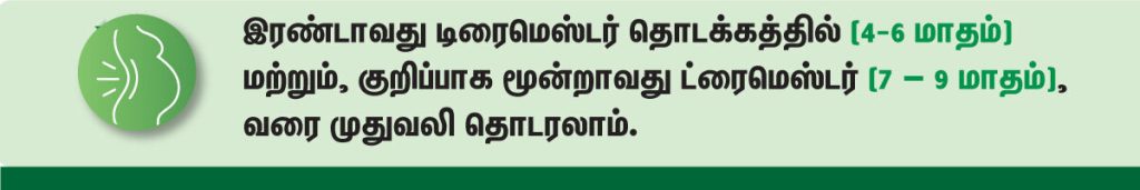 First Trimester Pregnancy Back Pain