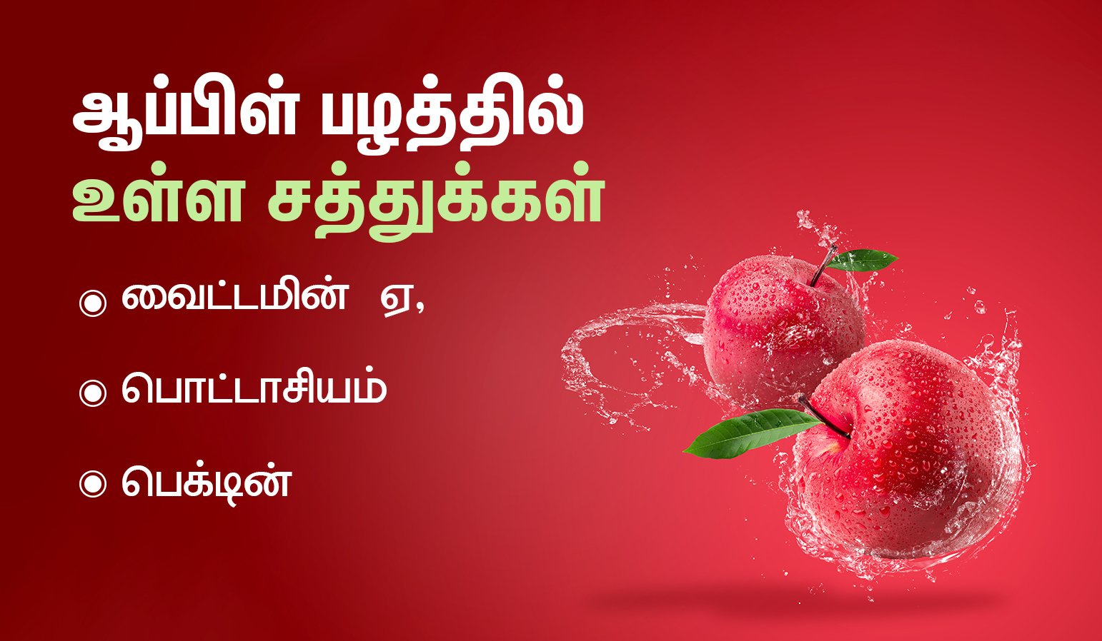 Fruits to Eat During Pregnancy in tamil - Berries