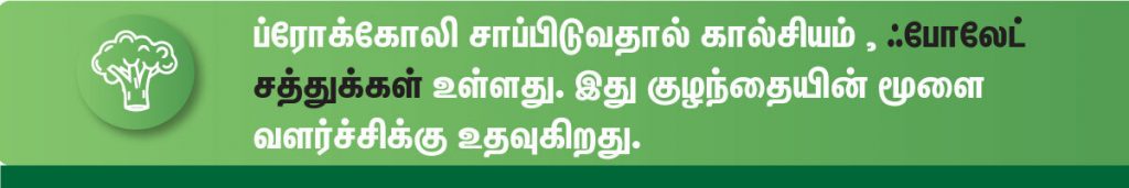 கர்ப்ப காலத்தில் சாப்பிட வேண்டிய சிறந்த காய்கறிகள் (Vegetables During Pregnancy in tamil) என்ன? 4 broccoli vegetable