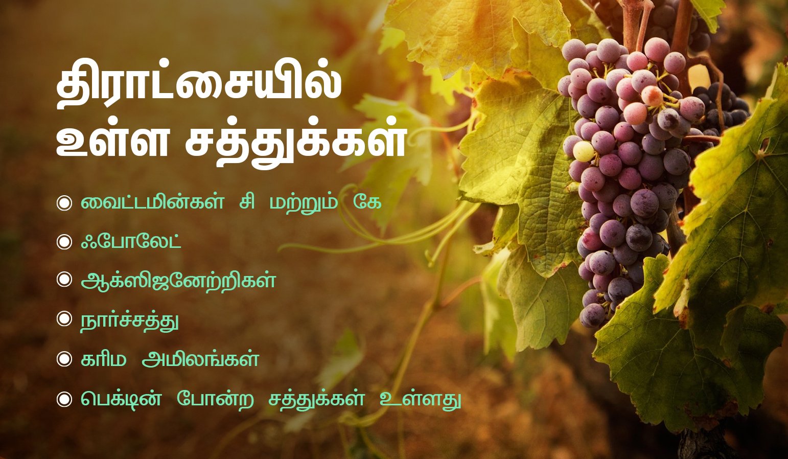 Fruits to Eat During Pregnancy in tamil -Grapes