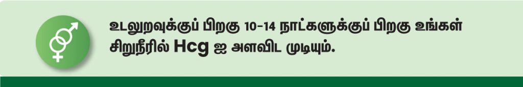 கர்ப்பம் கண்டுபிடிப்பது எப்படி? (How To Check Pregnancy in Tamil) 8 hCG Levels