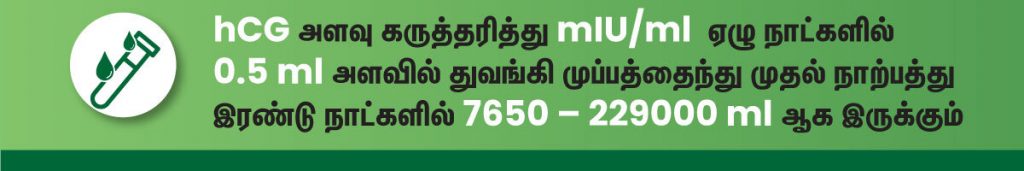 கர்ப்பம் கண்டுபிடிப்பது எப்படி? (How To Check Pregnancy in Tamil) 7 hcg pregnancy blood test