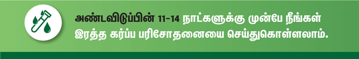 கர்ப்பம் கண்டுபிடிப்பது எப்படி? (How To Check Pregnancy in Tamil) 4 pregnancy blood test