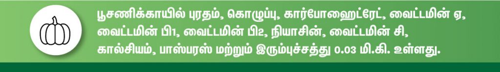 கர்ப்ப காலத்தில் சாப்பிட வேண்டிய சிறந்த காய்கறிகள் (Vegetables During Pregnancy in tamil) என்ன? 13 pumpkin