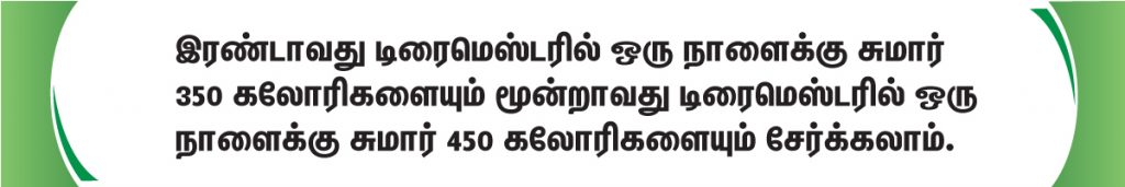 கர்ப்பம் தரிக்க தவிர்க்க வேண்டிய உணவுகள்! 12 Pregnancy diet