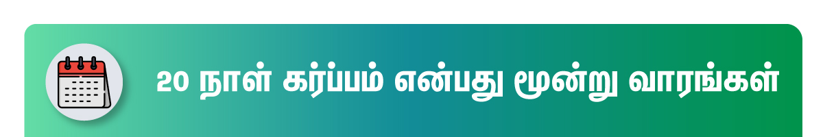 20 days pregnancy week