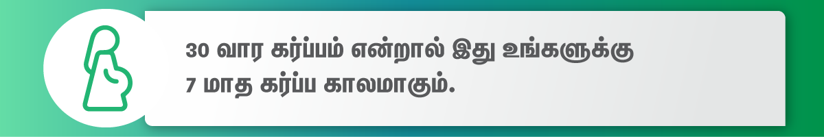 30 weeks pregnant months