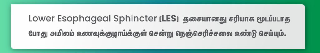 lower esophageal sphincter