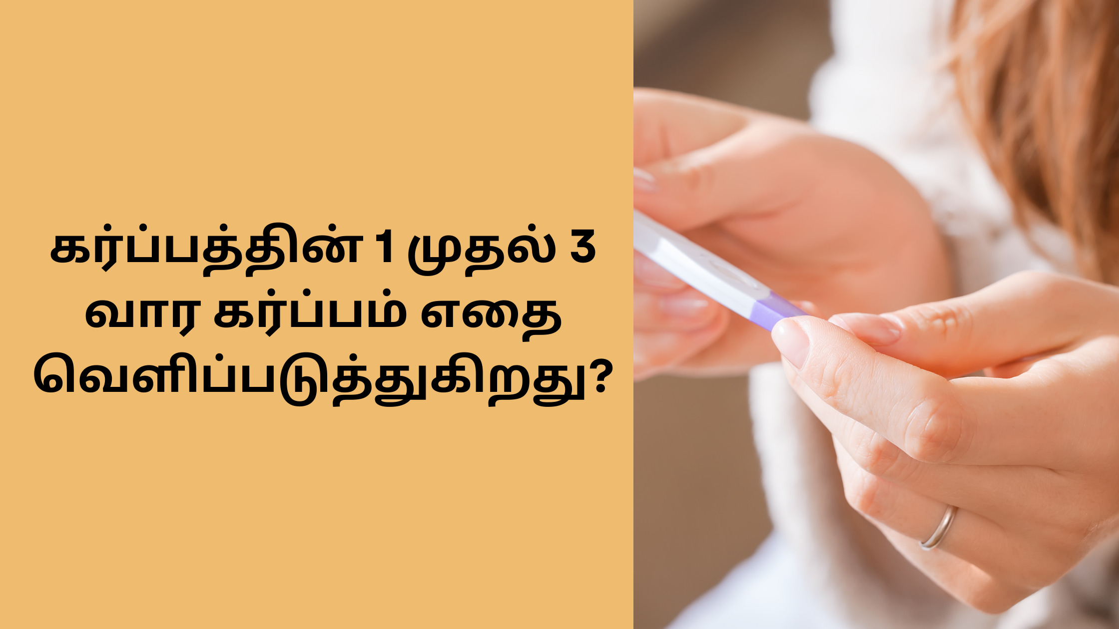 Pregnancy week 1 - 3