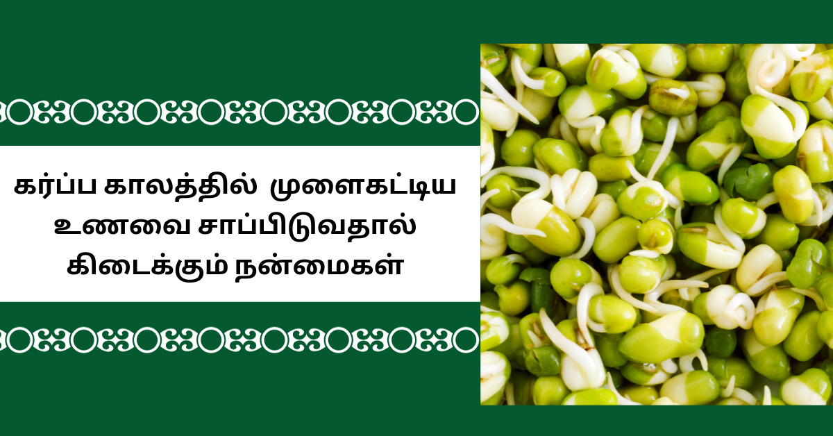 கர்ப்ப காலத்தில் முளைகட்டிய உணவுகளை பச்சையாக சாப்பிடலாமா? 2 benefits of sprouts during pregnancy
